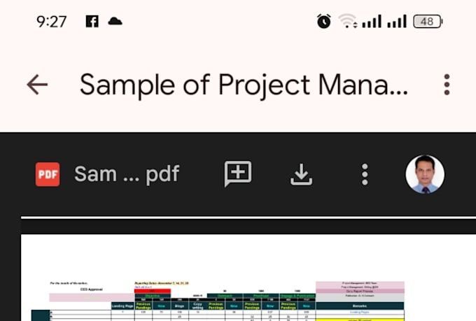deliver data analysis reports